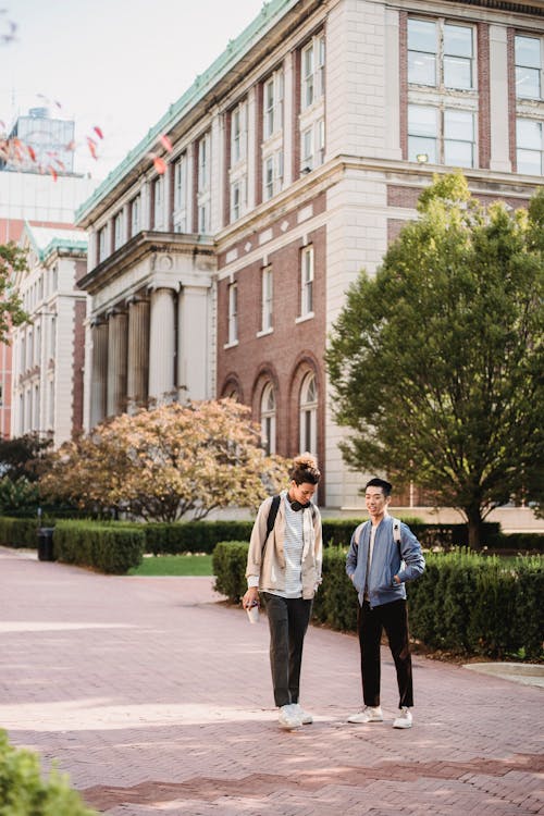 Full body content young male friends with backpacks strolling and chatting on paved sidewalk near modern brick building on sunny weather