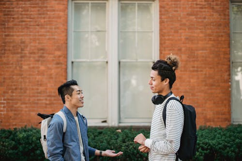 Side view cheerful diverse young male friends in casual wear with backpacks discussing plans and looking at each other while standing outside modern brick building