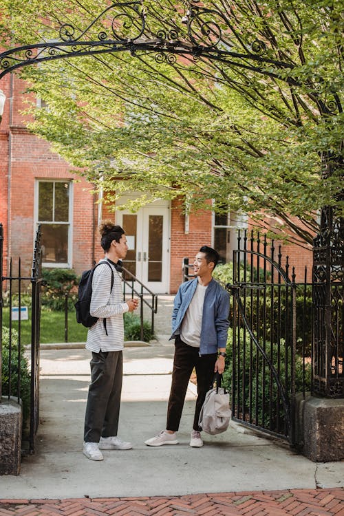 Positive multiethnic male friends chatting near modern brick building
