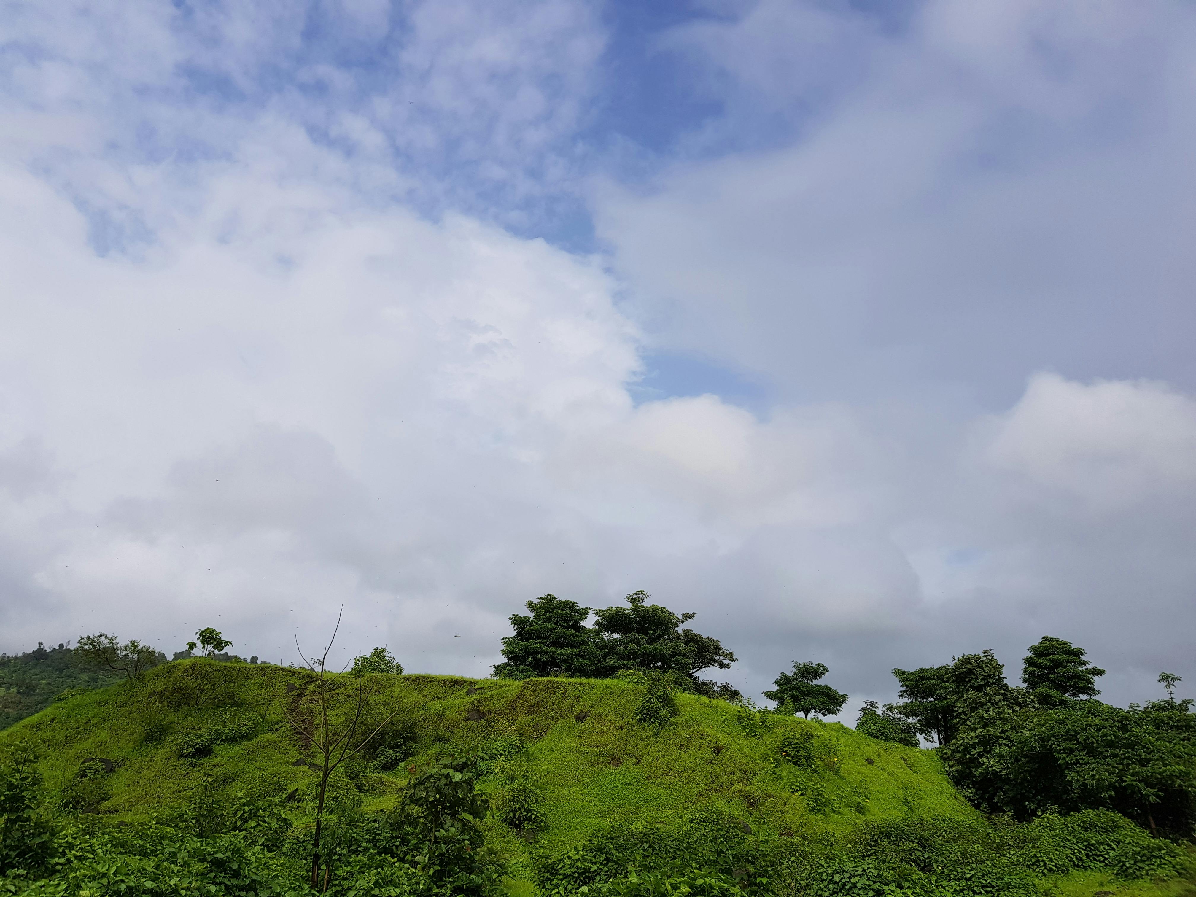 Free stock photo of blue sky, nashik, nature wallpaper