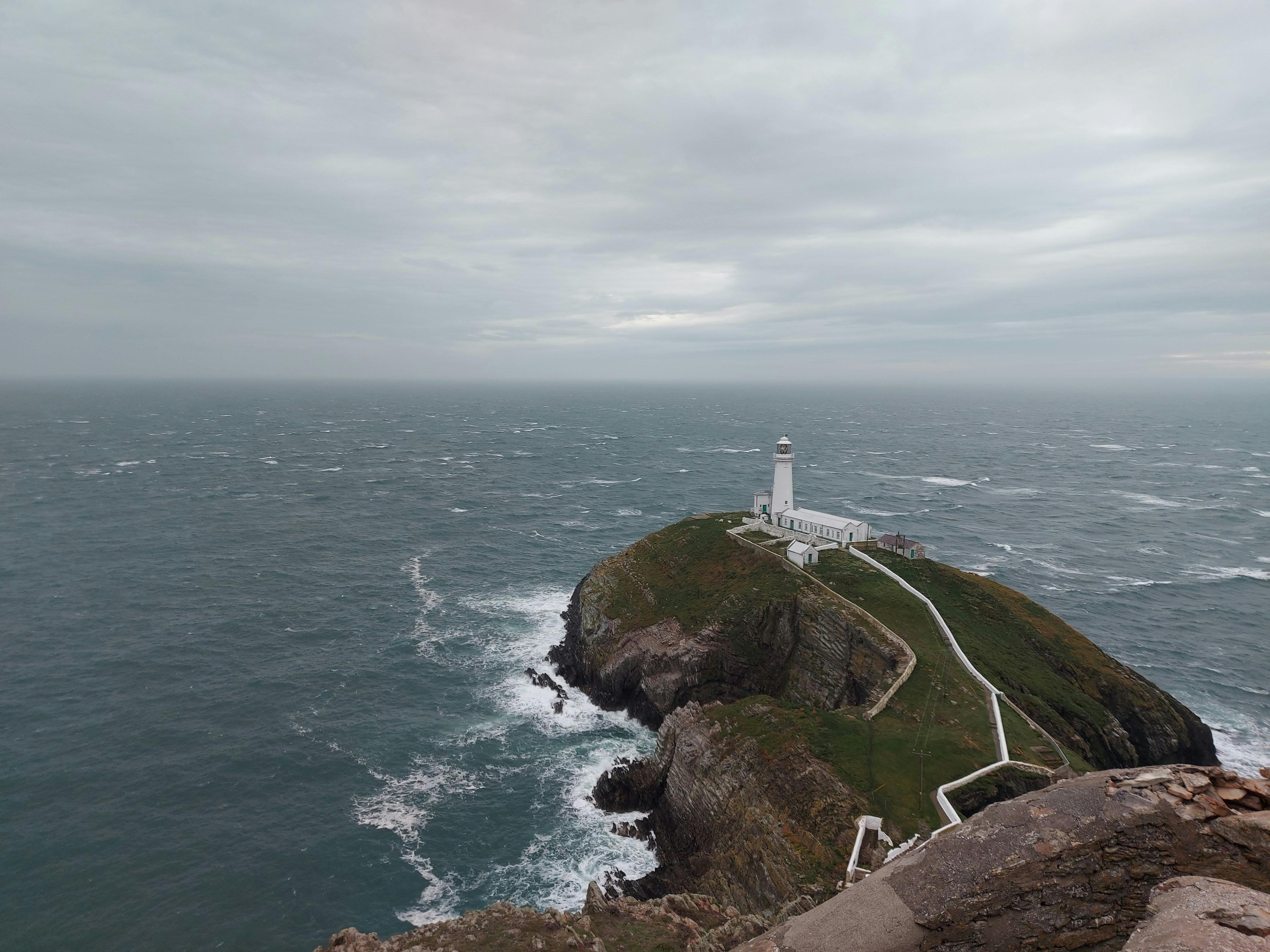 Precision tweezers and lash tools resting on a gold tray with marble background