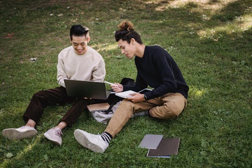 High angle full body of diverse classmates using laptop for homework assignment while sitting on grass in park