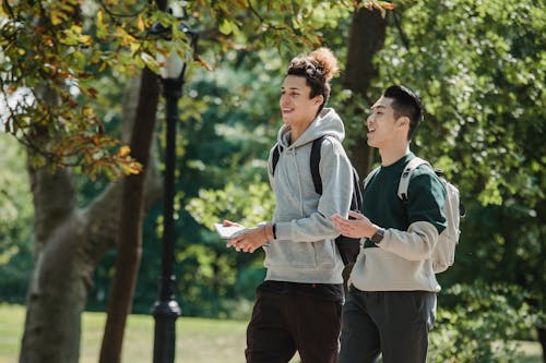 Smiling multiracial friends wearing casual clothes walking in park and talking to each other
