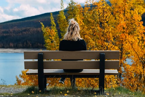 Back view of unrecognizable female sitting on wooden bench and admiring picturesque scenery of river near green hill in autumn time