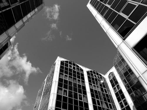 Grayscale Photography of High-rise Buildings