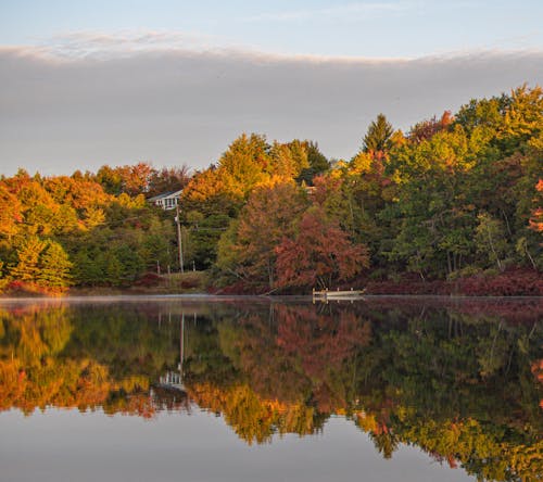 Autumn Trees Beside a Placid Lake