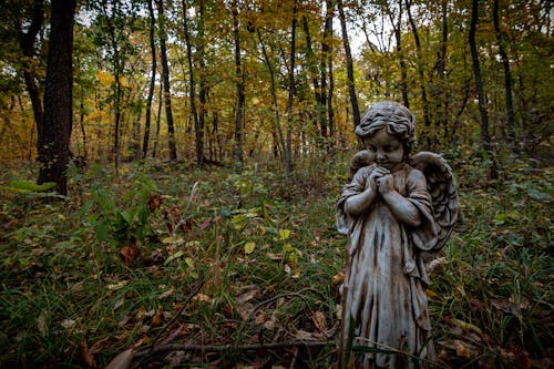 Angel Statue at a Forest