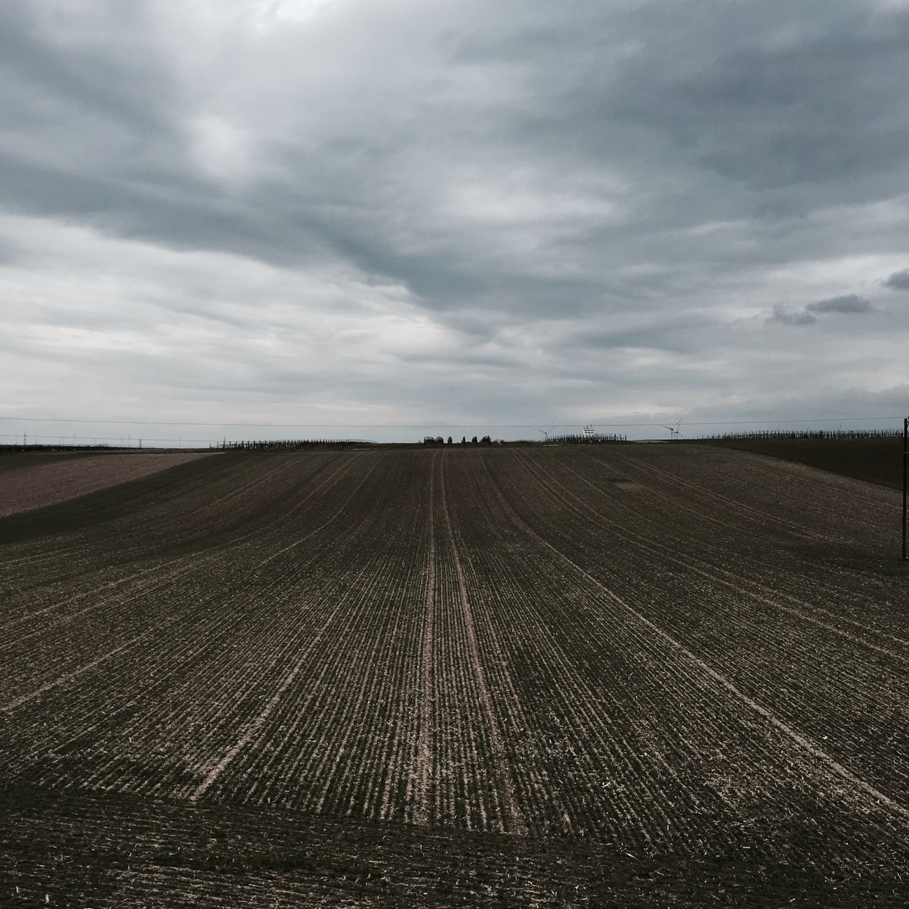 A tranquil view of expansive farmland under a cloudy sky, highlighting rural agriculture.
