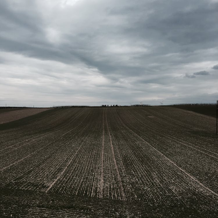 Grass Field Under Cloudy Sky