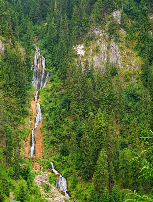 山, 森林, 瀑布 的 免费素材图片