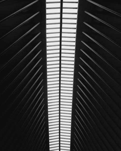 Free Black and White Photo of a Ceiling Stock Photo