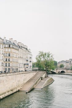 阴天里，塞纳河宁静流淌，映衬着经典的巴黎建筑