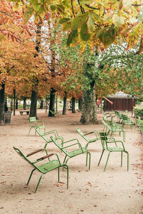 갈색 나무 아래 녹색 금속 의자
