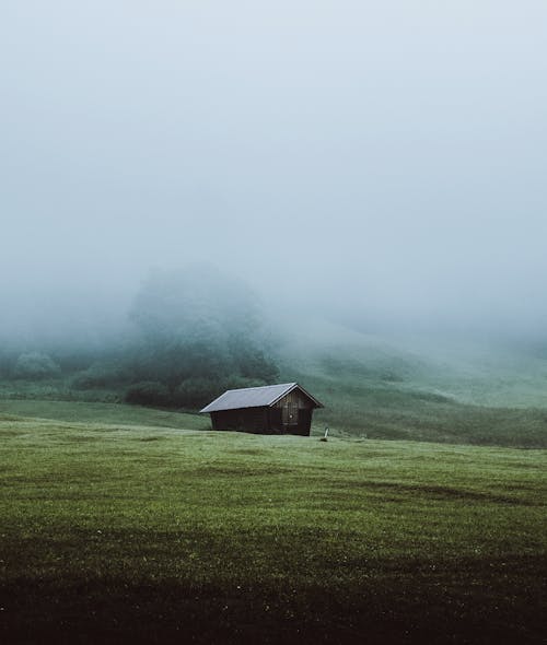 Casa De Madeira Marrom Em Campo De Grama Verde Coberto De Névoa