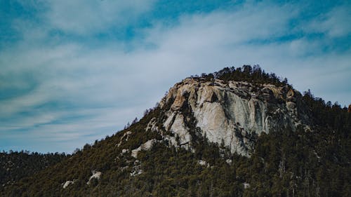 Základová fotografie zdarma na téma cestování, denní světlo, divočina