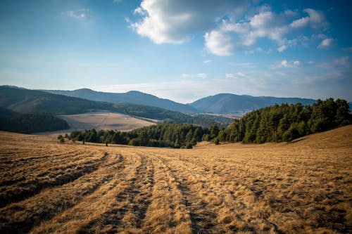 Δωρεάν στοκ φωτογραφιών με αγροτικός, βουνά, γαλάζιος ουρανός Φωτογραφία από στοκ φωτογραφιών