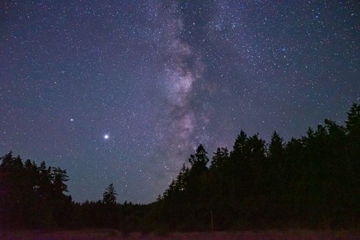 夜晚，宁静的森林上空，银河系闪闪发光，令人惊叹