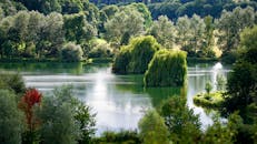 宁静的湖景，绿树郁郁葱葱，水中倒映着树叶