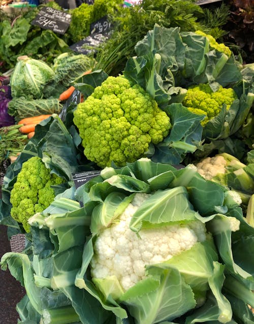 Free Green and White Cauliflower Stock Photo