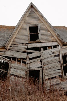 草地乡村里有个风化木材棚，墙壁破损，屋顶生锈