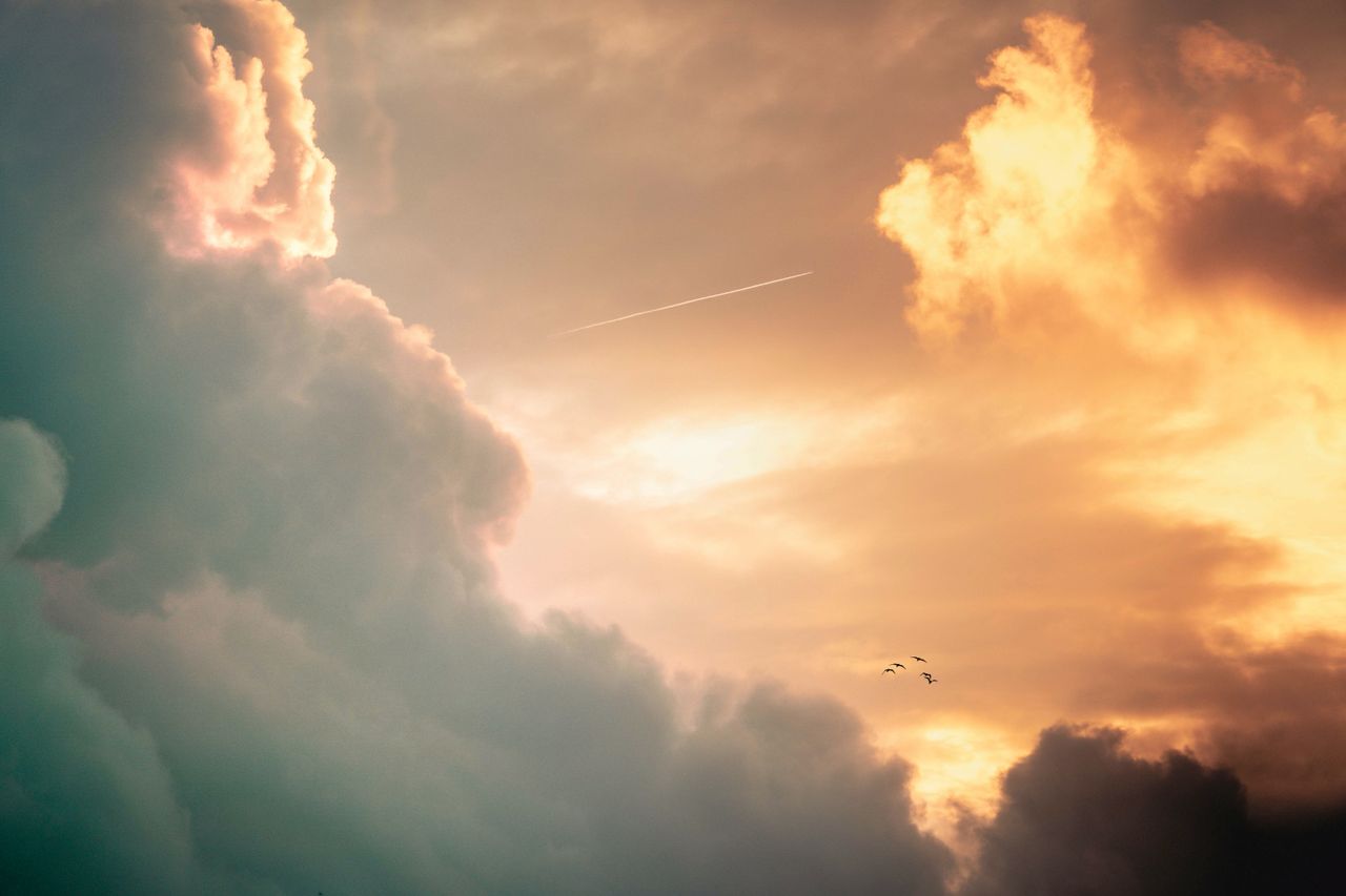 a stunning cloudscape at sunset with warm hues and birds flying gracef
