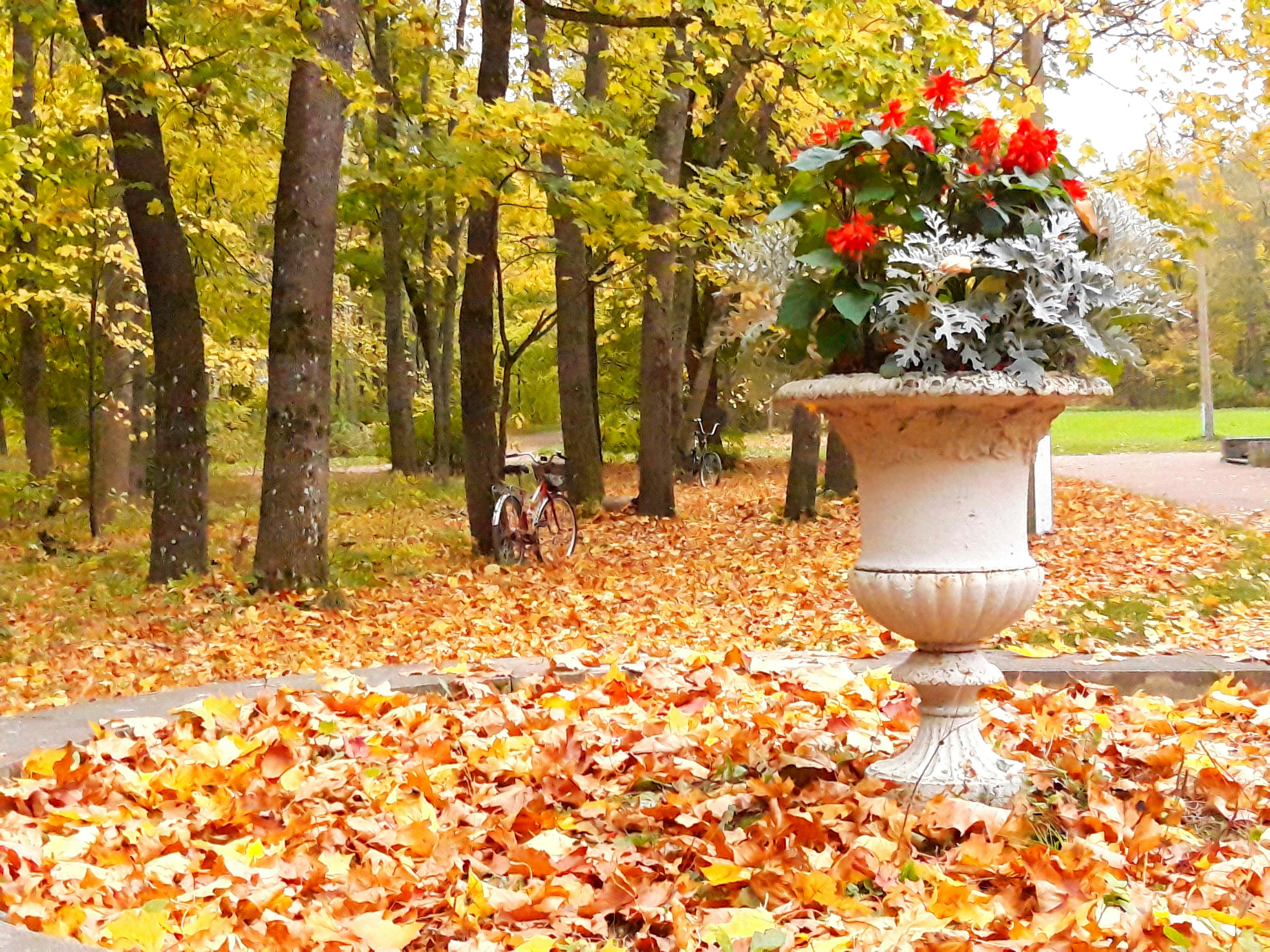 Ưu đãi vé máy bay