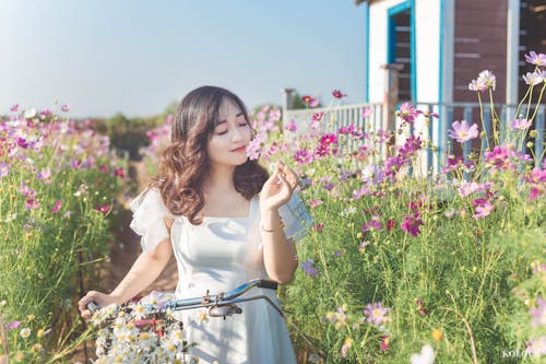 Kostnadsfri bild av asiatisk kvinna, avkopplande, blommor