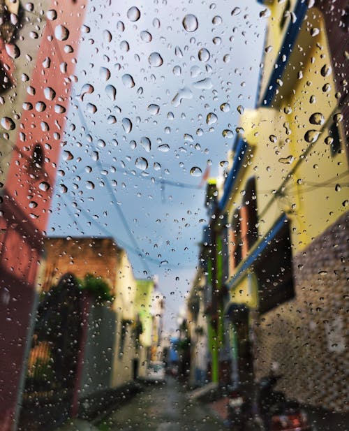 Free stock photo of after rain