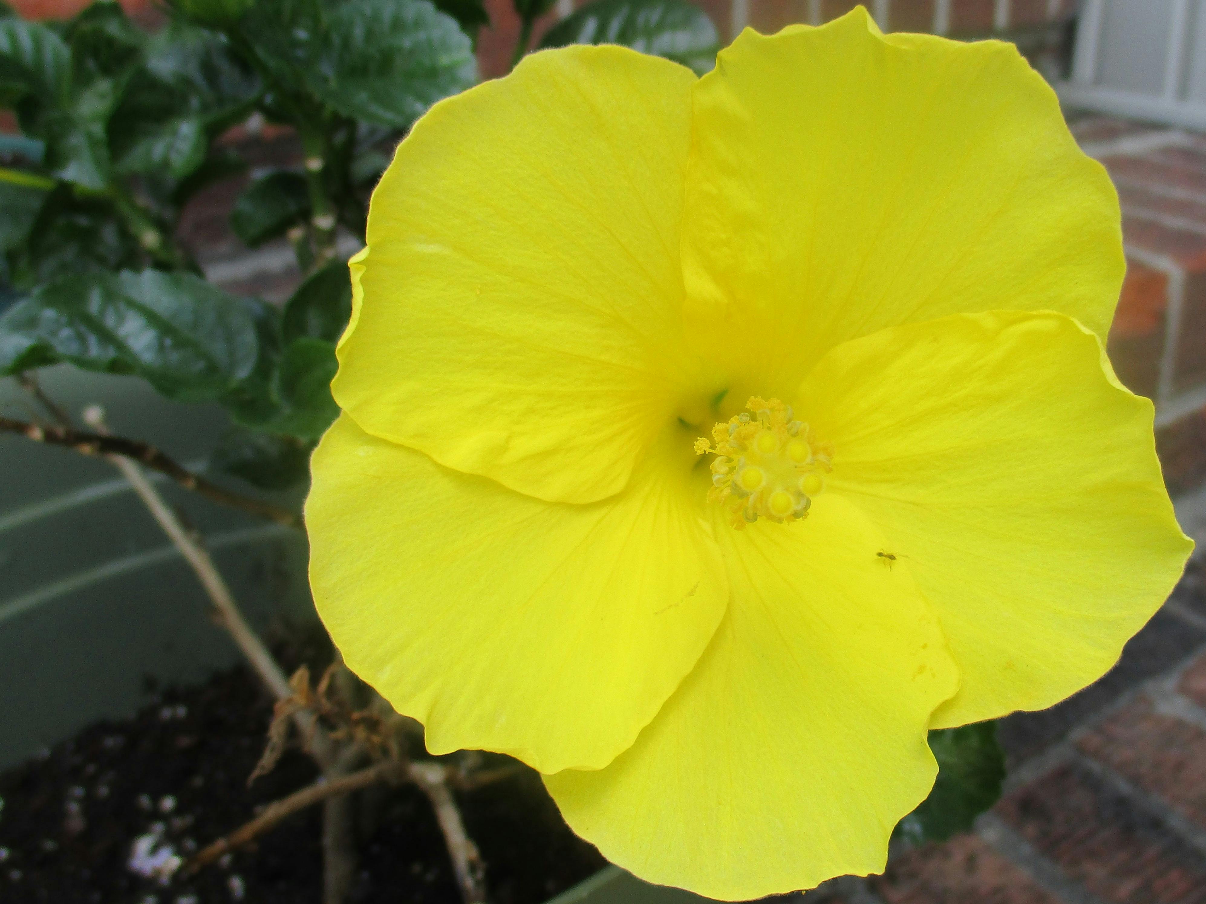 Évaluation d'un casino en ligne