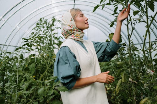 açık hava, asyalı kadın, Bahçe içeren Ücretsiz stok fotoğraf