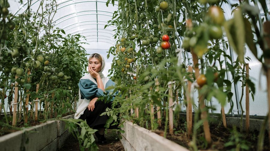 Indoor Herb Gardens: Which Plants Actually Survive Cheap LED Setups