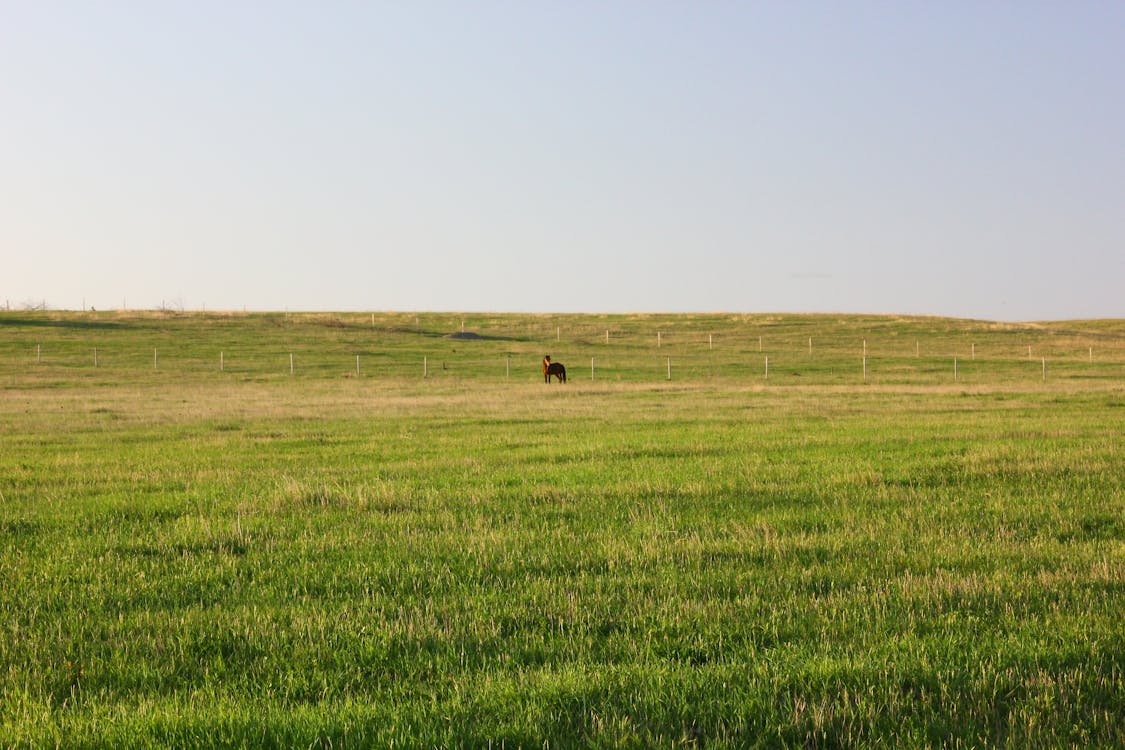 Darmowe zdjęcie z galerii z gospodarstwo, krajobraz, łąka