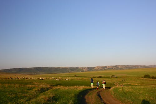 Kostnadsfri bild av åkermark, av vägen, backpackers