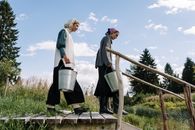 Man and Woman Standing on Brown Wooden Bridge