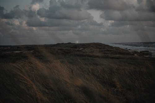 Fotobanka s bezplatnými fotkami na tému chlapec, ďumbier, farby