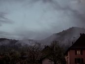 Picturesque scenery of green forest on hill slope near cottages under cloudy sky in mist