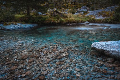 Free Picturesque view of crystal clear water with small stones in evergreen forest with grass and rocky surface Stock Photo