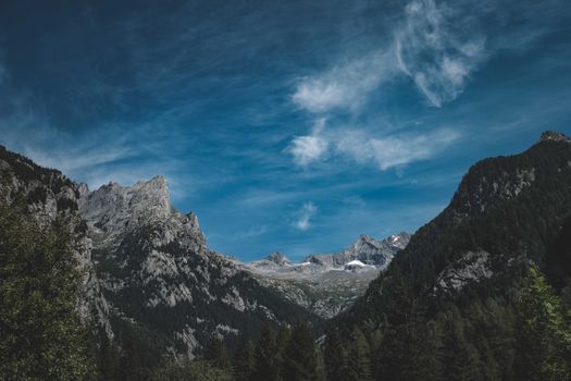 Picturesque view of rough rocky mountain range with coniferous forest under blue sky