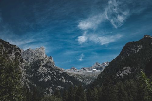 Free Picturesque view of rough rocky mountain range with coniferous forest under blue sky Stock Photo