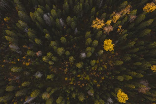 Základová fotografie zdarma na téma 4k video, atmosfera de outono, barevná tapeta