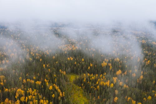 Základová fotografie zdarma na téma 4k video, atmosfera de outono, barevná tapeta