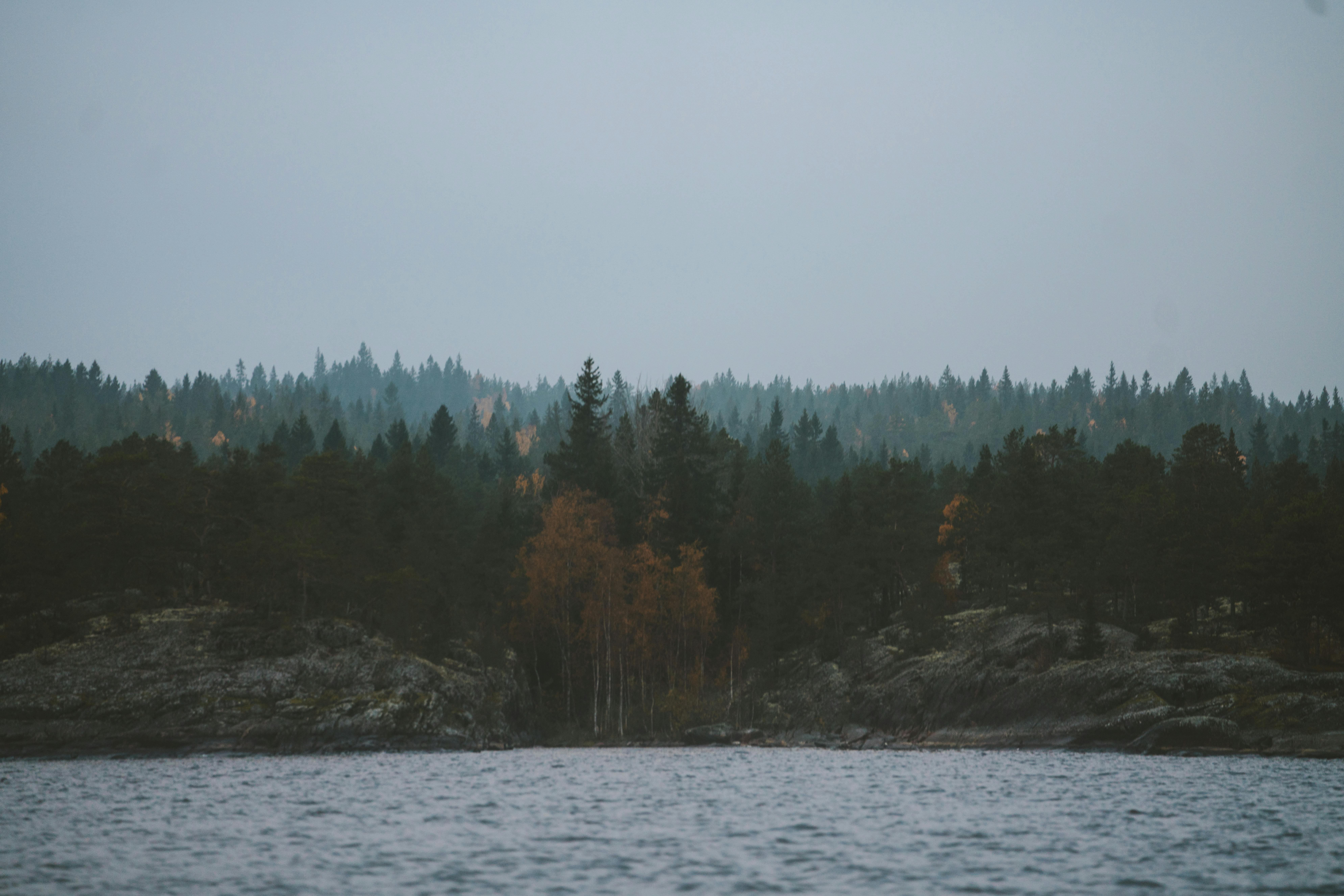 在多云的天空下，一条平静的河流映衬着一片茂密森林的宁静景色