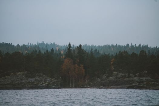 在多云的天空下，一条平静的河流映衬着一片茂密森林的宁静景色