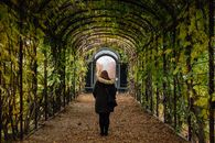 A Woman Standing in a Garden