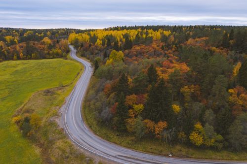 Free A winding road through a vibrant autumn forest in the Sortavalskiy District, Karelia, Russia. Stock Photo