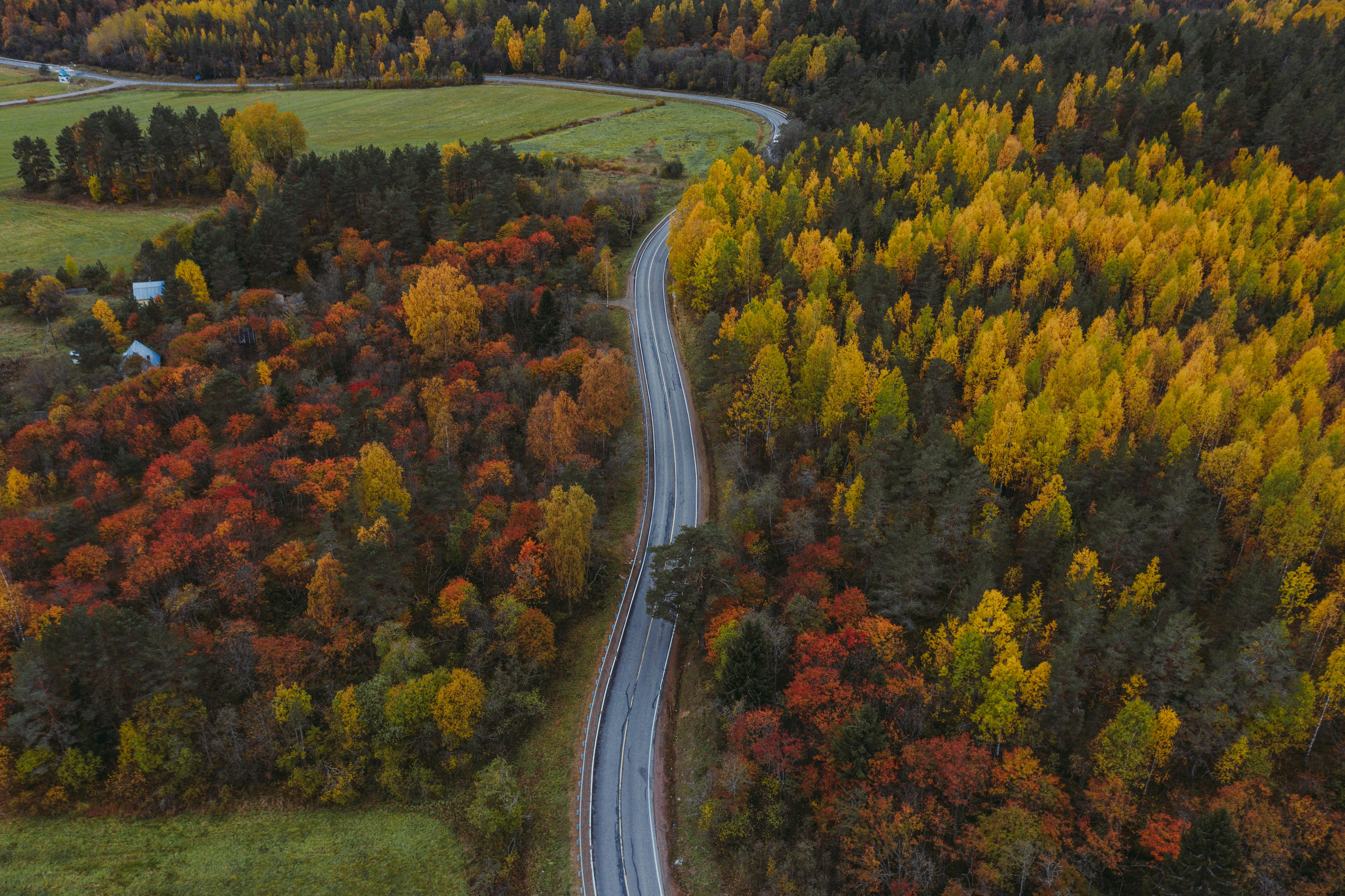 Scenic aerial view of winding road through vibrant autumn forest in Kareliya, Russia.