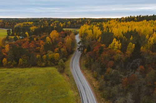 Free Aerial view of a winding road through colorful autumn forest in Karelia, Russia. Stock Photo