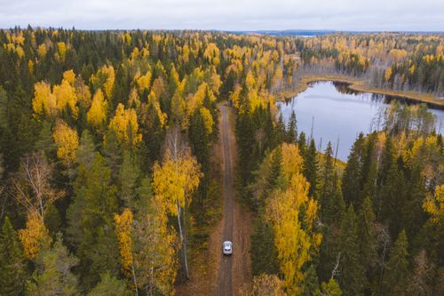 Free Aerial shot of a scenic road surrounded by autumn trees and a lake in Karelia, Russia. Stock Photo