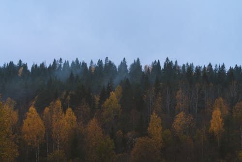 Gratis lagerfoto af bjerge, droneoptagelse, efterår