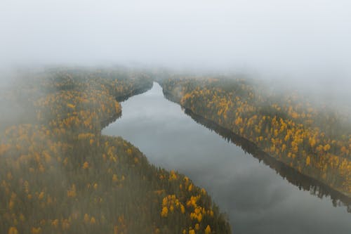 Бесплатное стоковое фото с Аэрофотосъемка, водоем, деревья